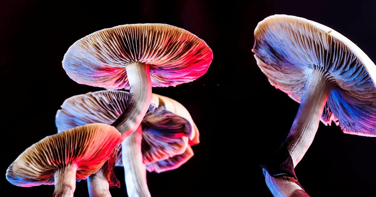 psychedelic decriminalization discussion makes atlanta