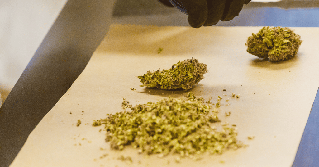 United States Senators have filed another pair of medical marijuana