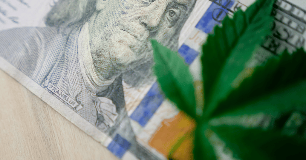 Lot Of Money In Marijuana
