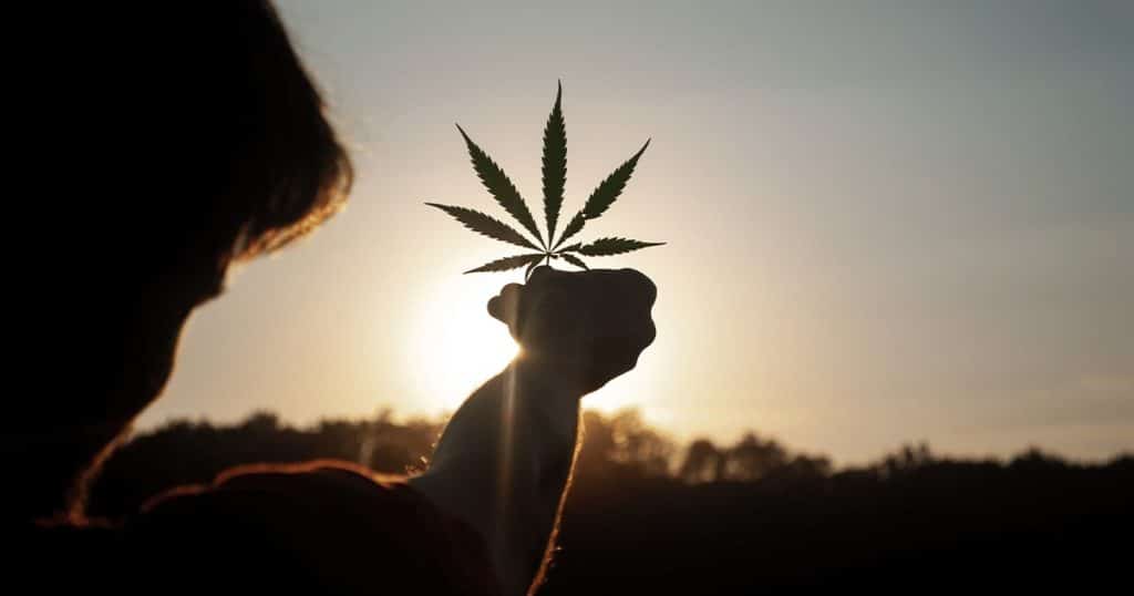 first social craft marijuana grower illinois