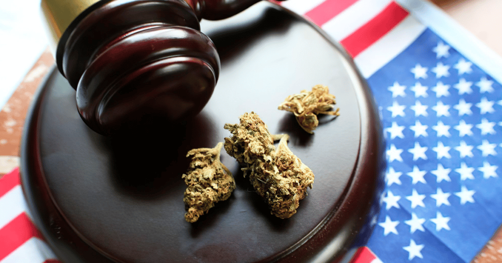 Can Legal Cannabis Thrive In America—Or At Least Survive? 
