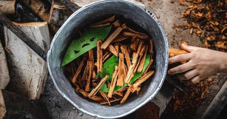 New Study Shows Benefits of Ayahuasca Outweigh the Risks
