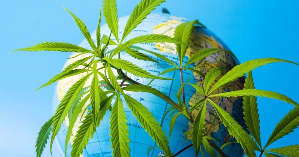 2022 Saw Lots of Progress on Cannabis
