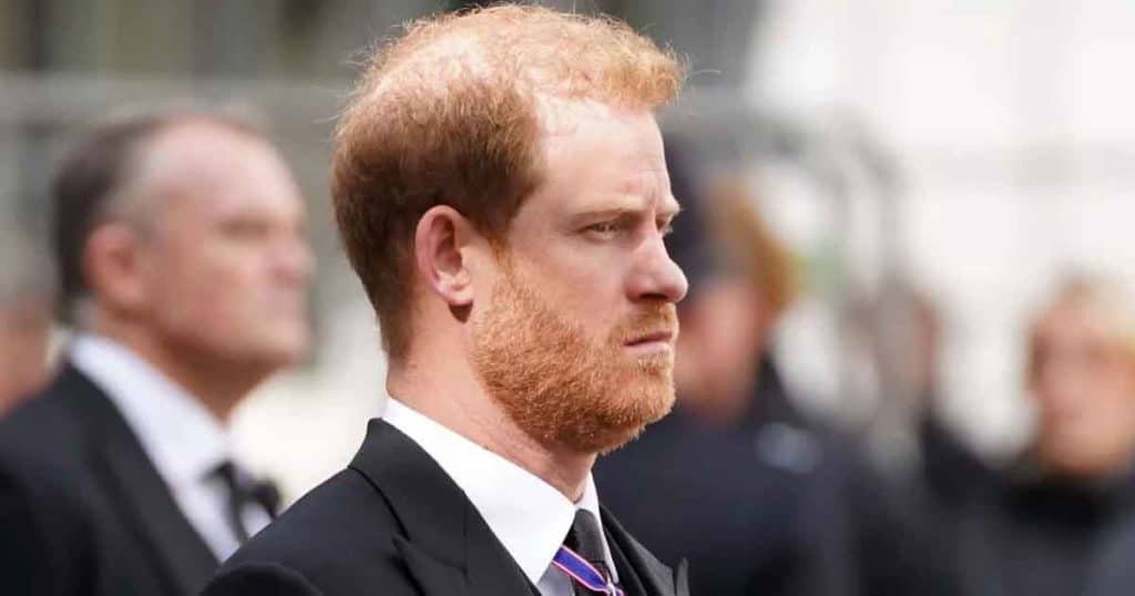 fact that Prince Harry has publicly discussed his use of psychedelics