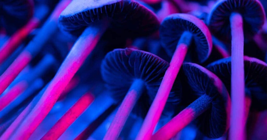 Psychedelic Reform Bills Filed in Three New States