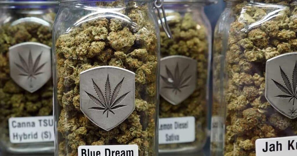 Marijuana Legalization Bill Under a Microscope
