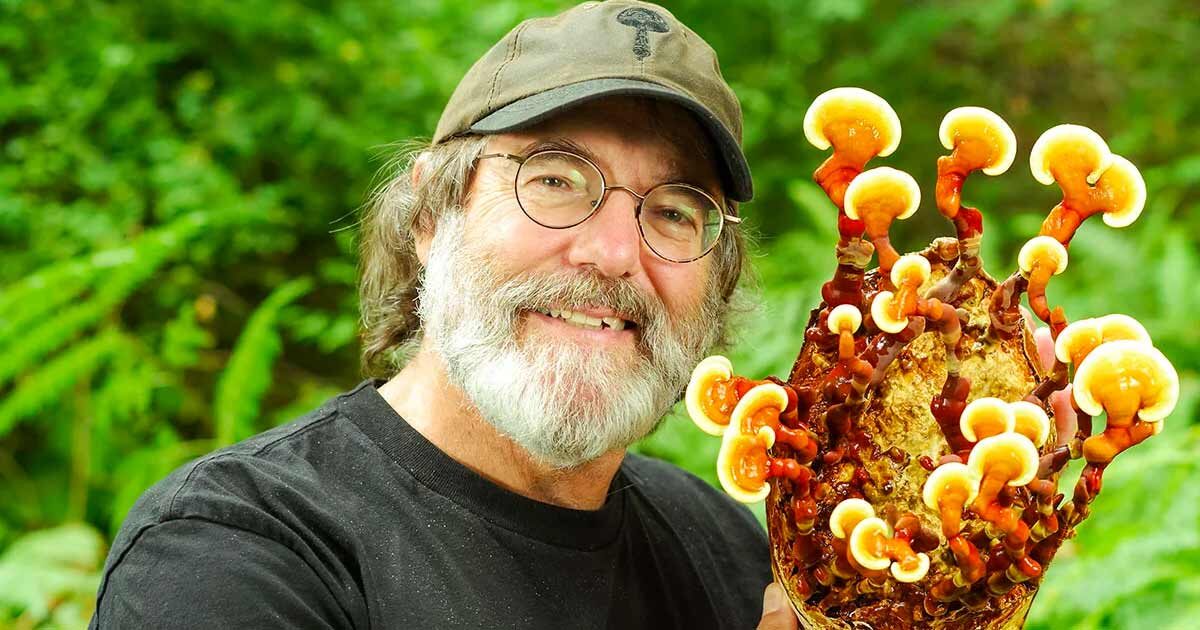 Mycologist Paul Stamets Gets His Own Mushroom