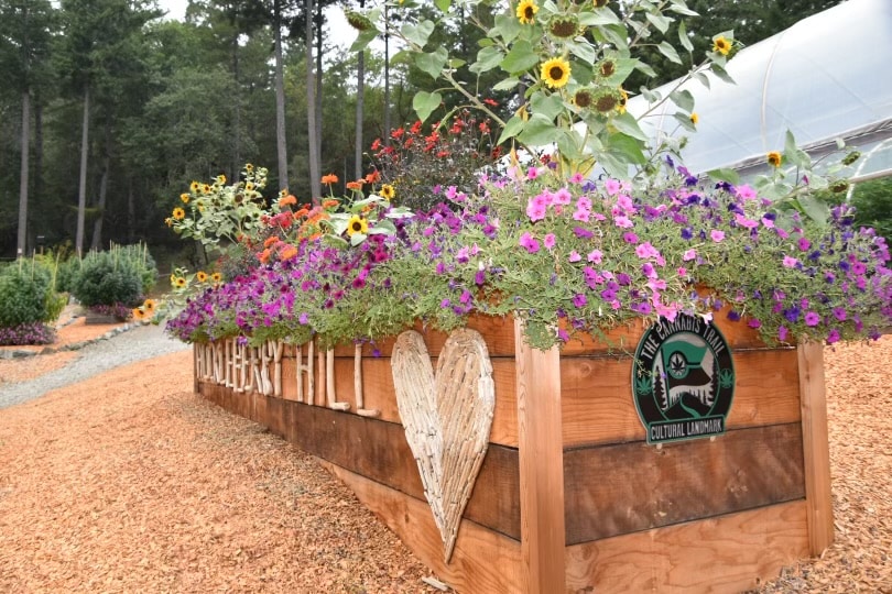 Huckleberry Hill Farms