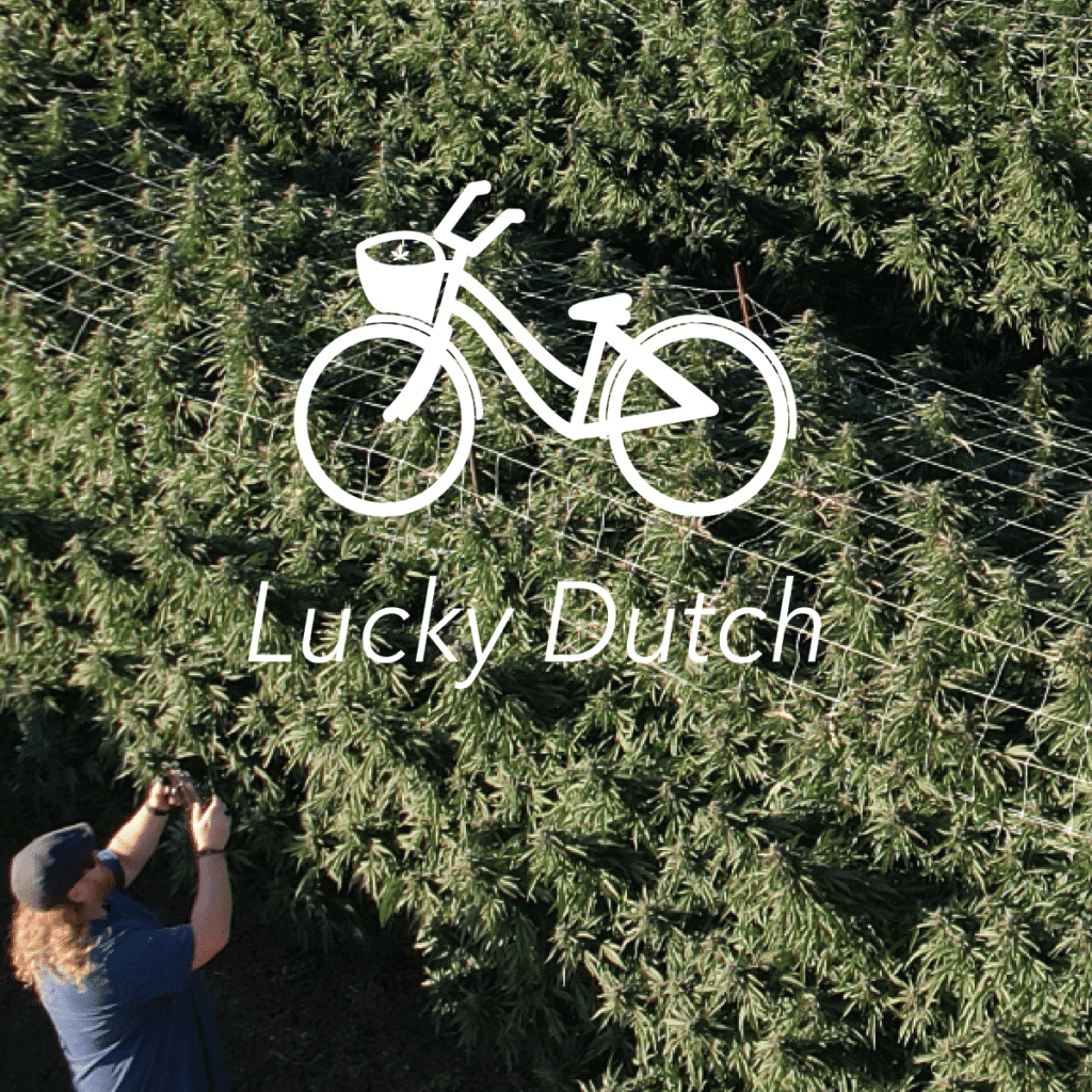Lucky Dutch