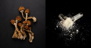 Utah Psychedelics Psilocybin MDMA