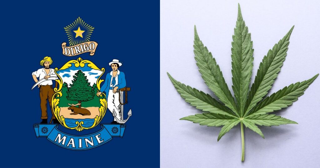 Maine Medical Cannabis