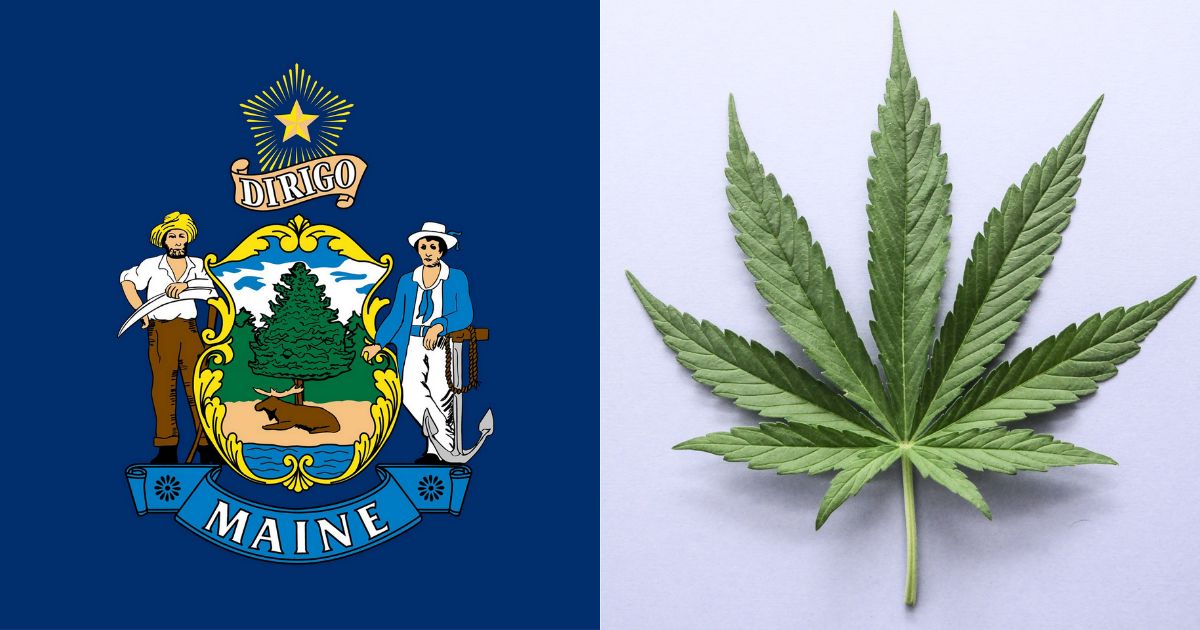 Maine Medical Cannabis