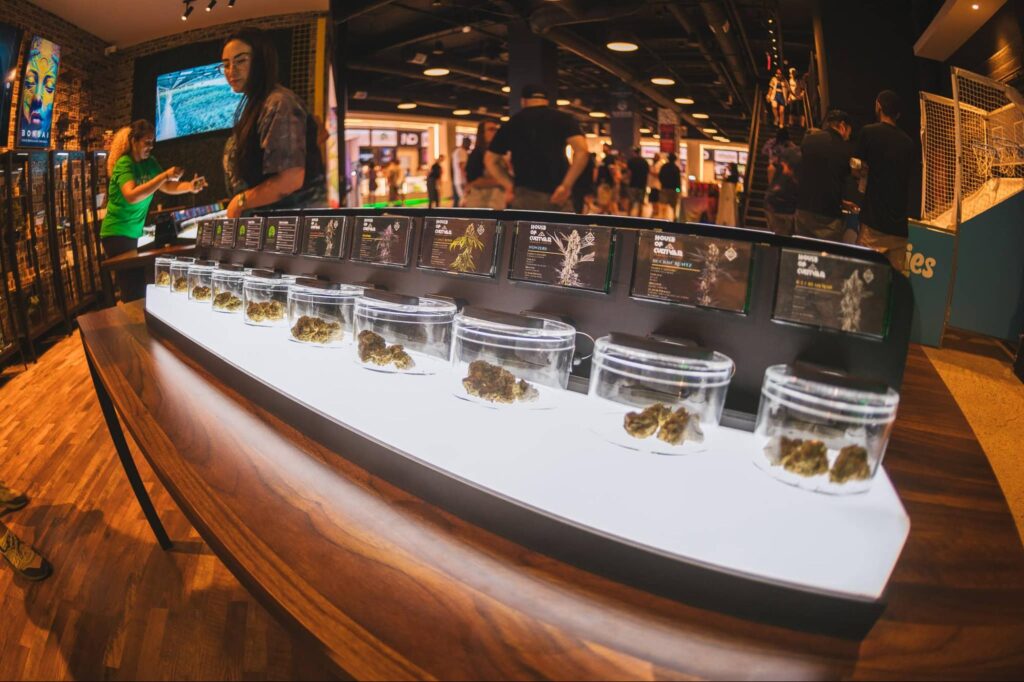 New Dia Cannabis, Cannabis Dispensary, Boston Cannabis Dispensary