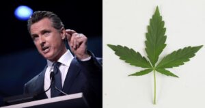 Hemp-Derived THC, California Hemp
