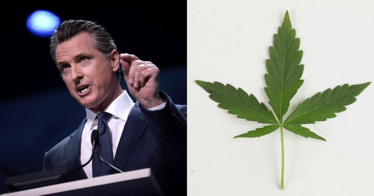 Hemp-Derived THC, California Hemp