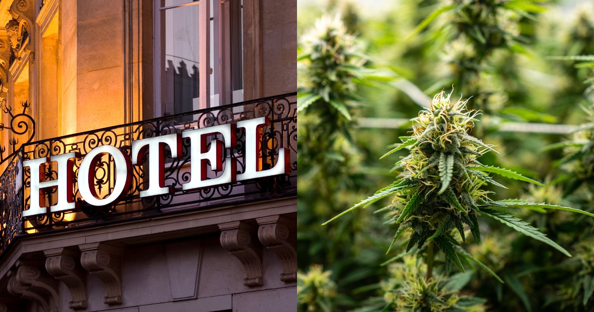 cannabis travel, cannabis tourism
