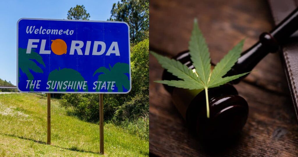 Florida Recreational Cannabis, Florida Marijuana, Florida Cannabis