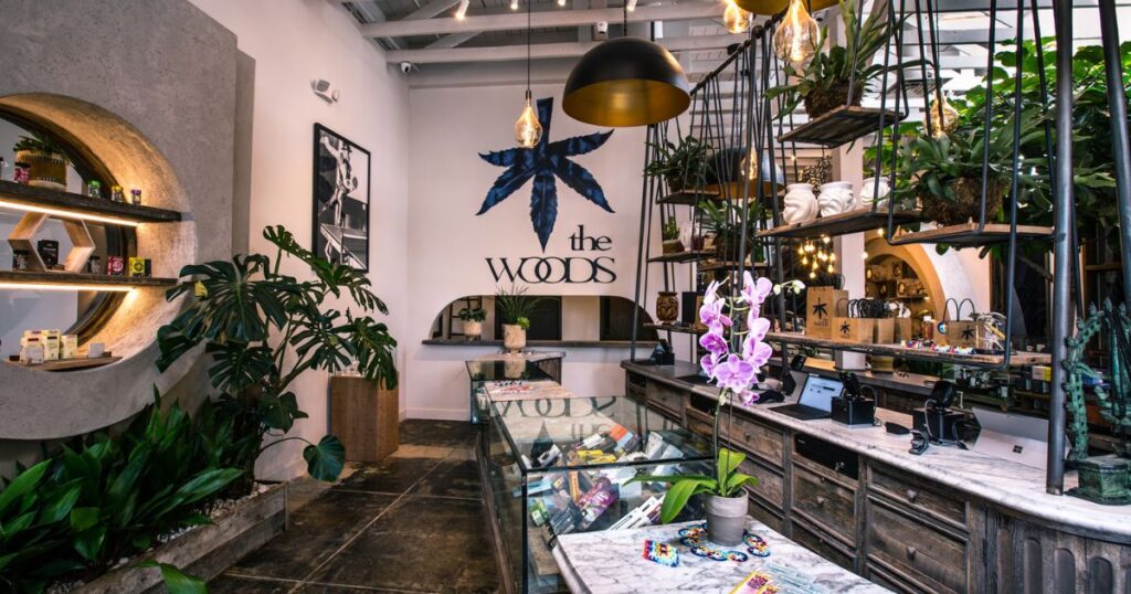 The Woods WeHo, Woods WeHo, Lounge Spotlight