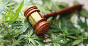 MMJ BioPharma Cultivation