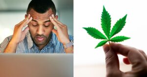 Men's Health, Men's Health Month, Cannabis Wellness