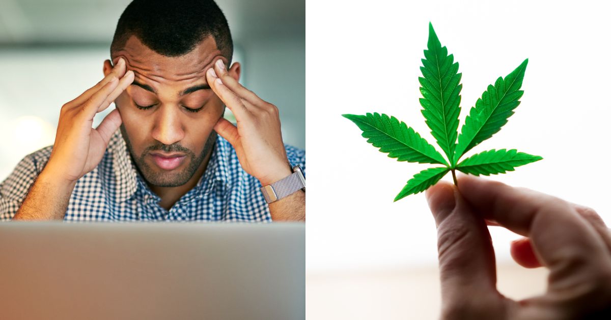 Men's Health, Men's Health Month, Cannabis Wellness
