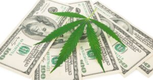 Minnesota Cannabis, Cannabis Tax, Cannabis Tax Hike
