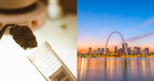 Missouri cannabis, Missouri Cannabis Regulations