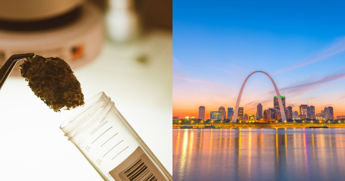 Missouri cannabis, Missouri Cannabis Regulations