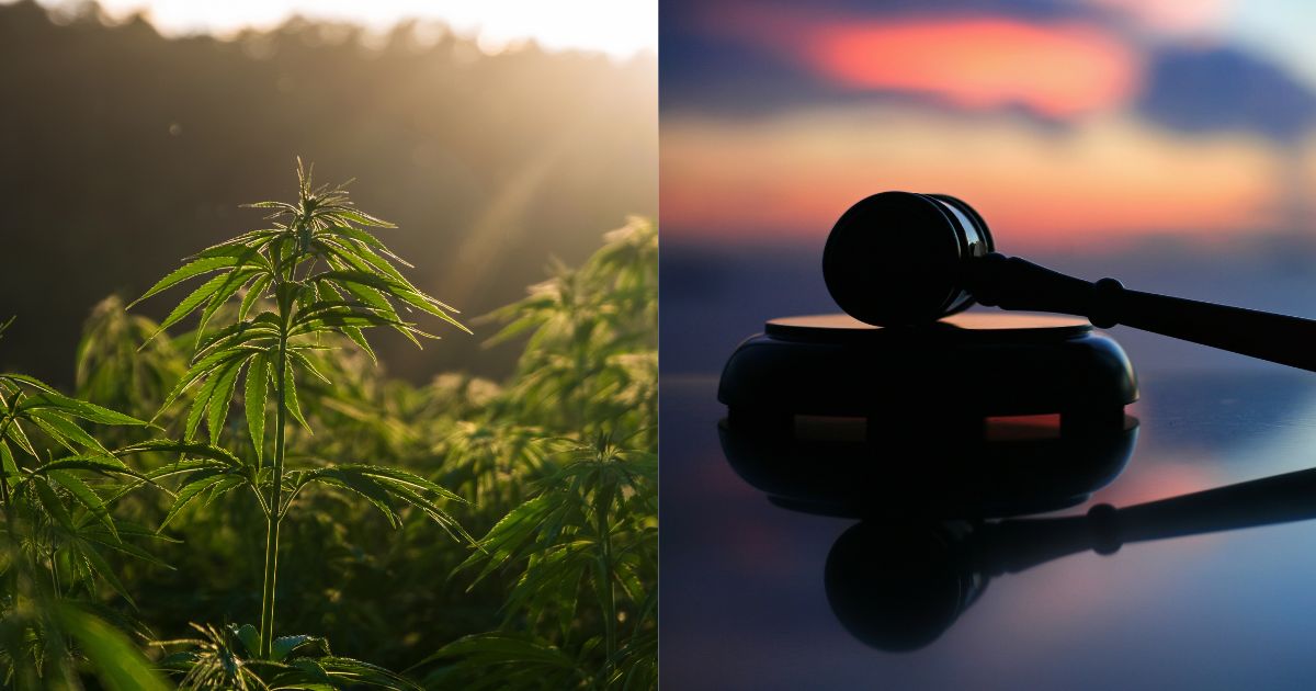 Hemp Rewgulation