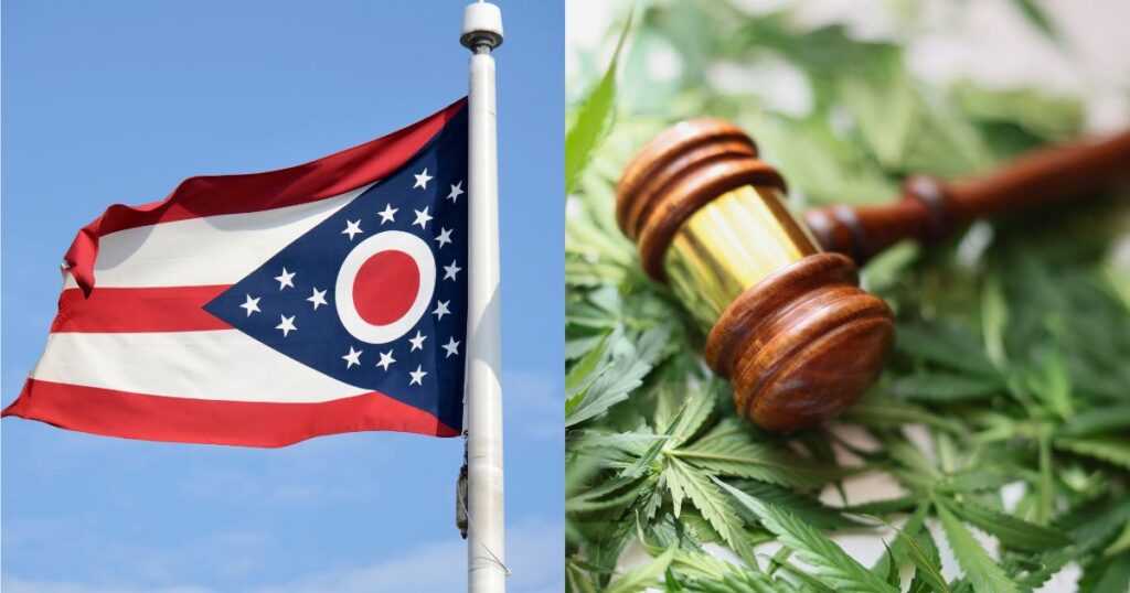 Senate Bill 56, Ohio Cannabis, Issue 2