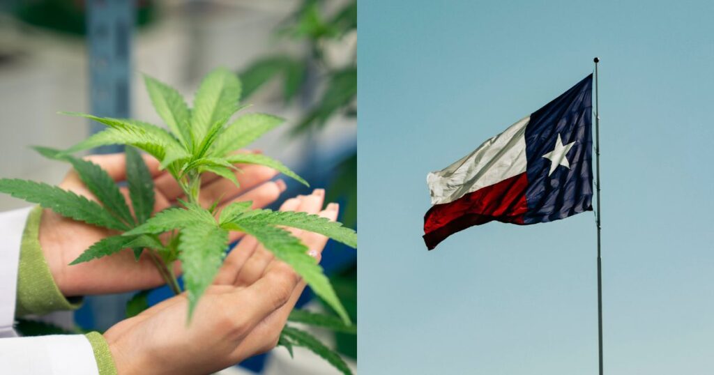 Texas Medical Cannabis