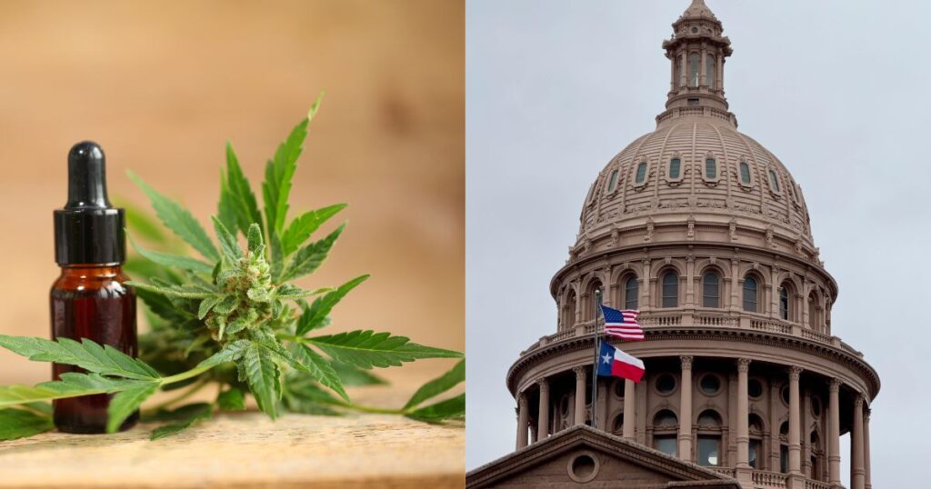 Senate Bill 3,Senate Bill 3 Veto, Texas Hemp