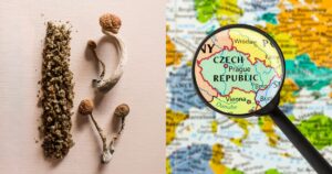 Czech Republic Cannabis, Czech Republic Psilocybin