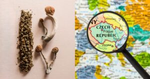 Czech Republic Cannabis, Czech Republic Psilocybin