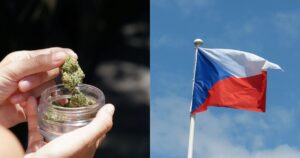 Czech Republic cannabis