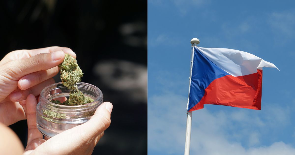Czech Republic cannabis