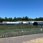 Cannabis Wellness, Beard Bros, United Cultivation, Davis Farms