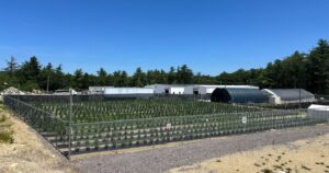 Cannabis Wellness, Beard Bros, United Cultivation, Davis Farms