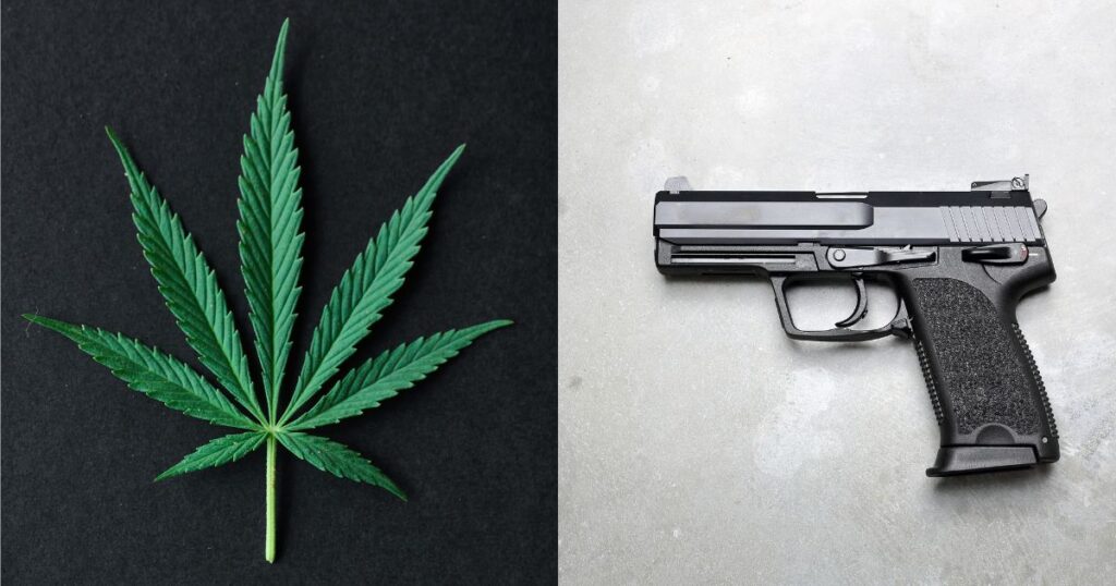 cannabis gun users