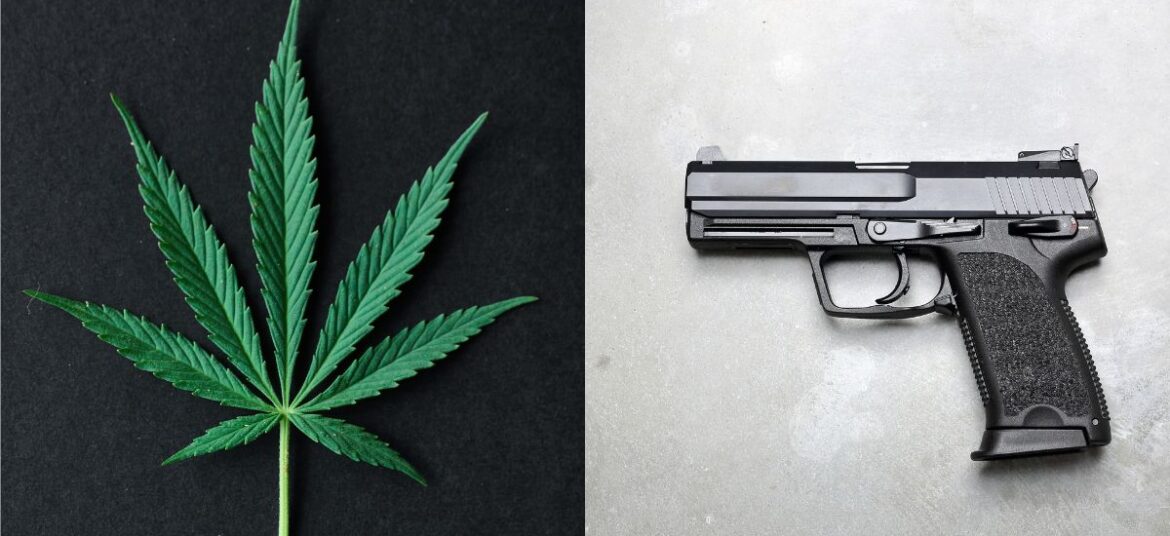 cannabis gun users