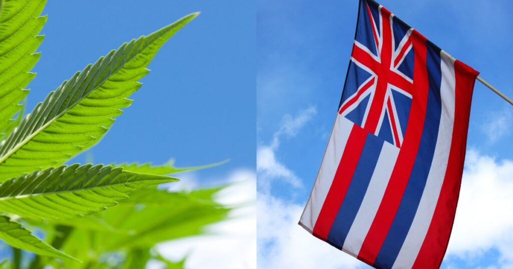 HB 302, Hawaii Cannabis