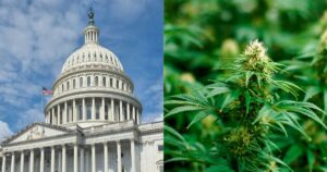 marijuana rescheduling