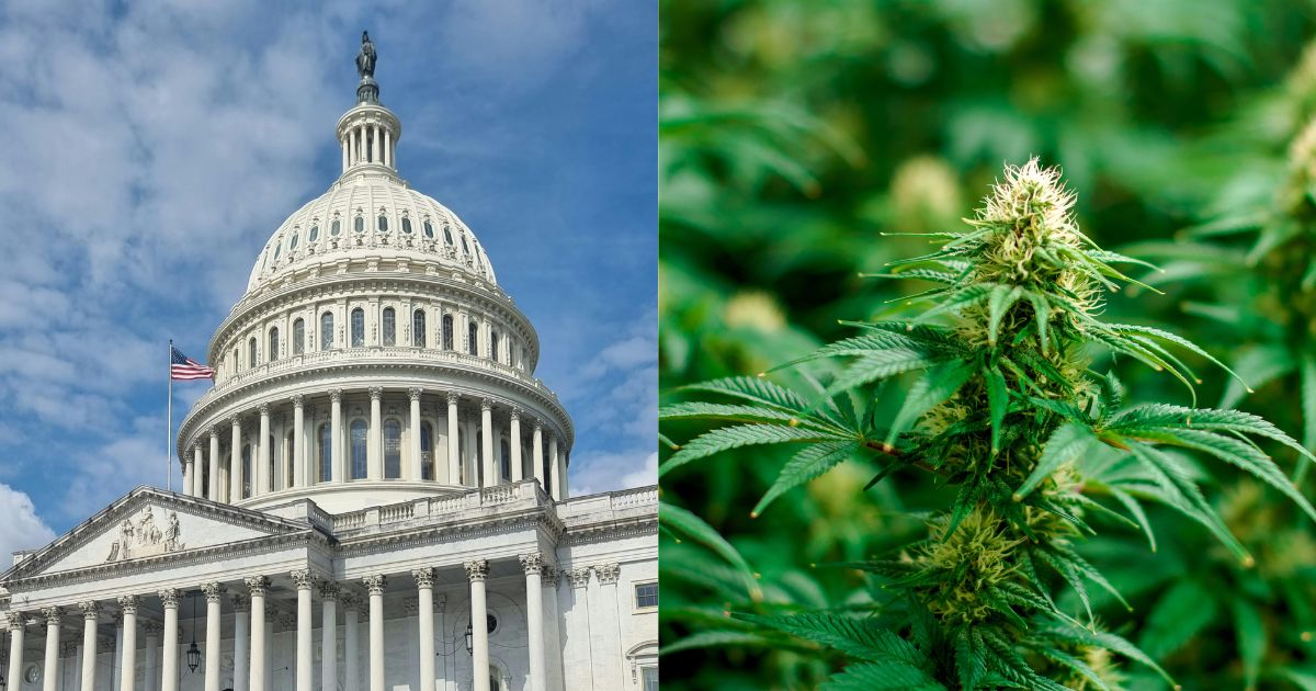marijuana rescheduling