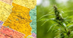 Intoxicating hemp products, Missouri cannabis. Missouri Hemp
