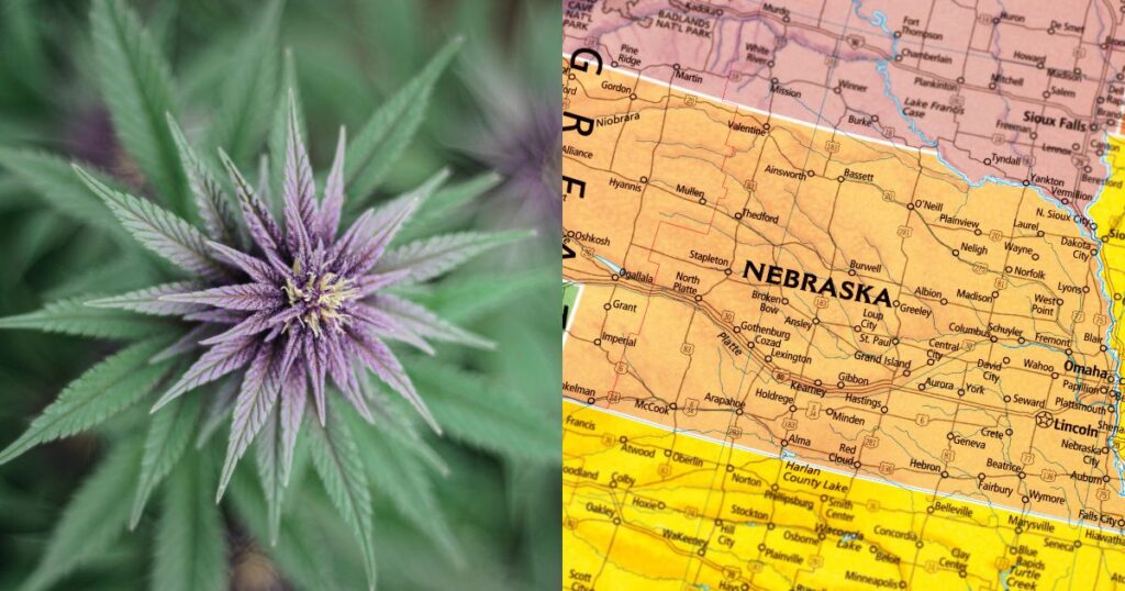 Omaha Tribe of Nebraska Legalizes Adult USe Cannabis in Nebraska
