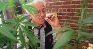 Dennis Peron, Medical Marijuana