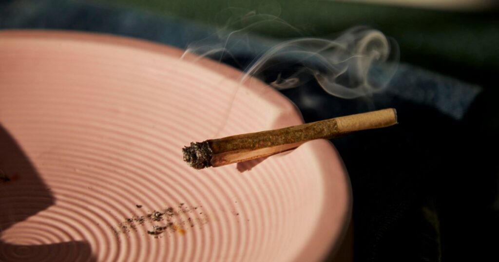 Cannabis brings people together creating community and culture