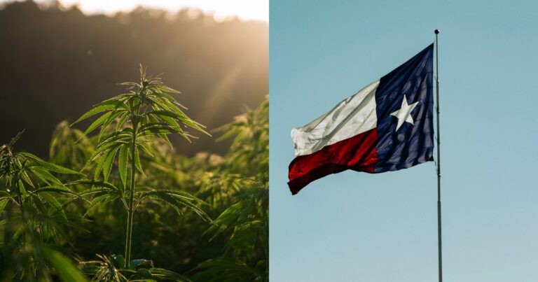 Texas Governor Expected to Issue Executive Order Regulating Hemp THC ...