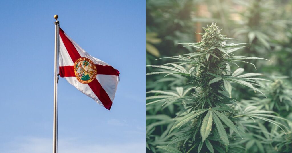 Florida recreational marijuana challenged by officials