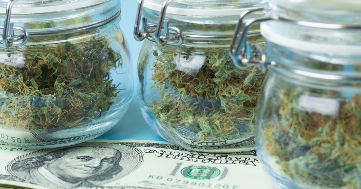 Three glass jars filled with dried cannabis buds placed on one hundred dollar bills, symbolizing the financial impact of Michigan's wholesale cannabis tax on the industry